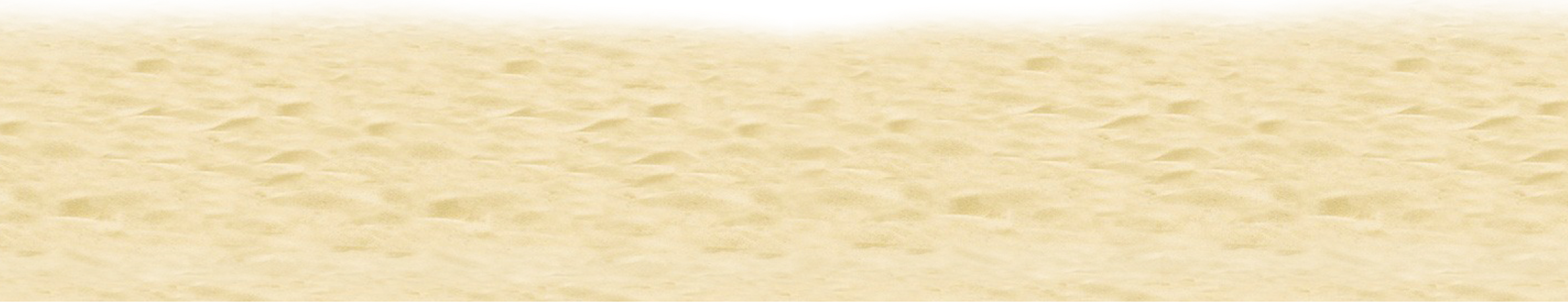 ban.png