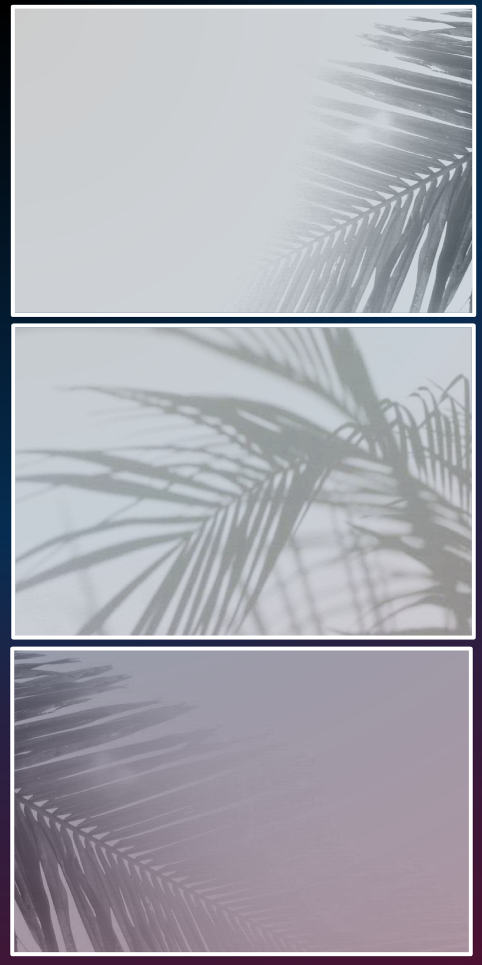 10X20PALM.png