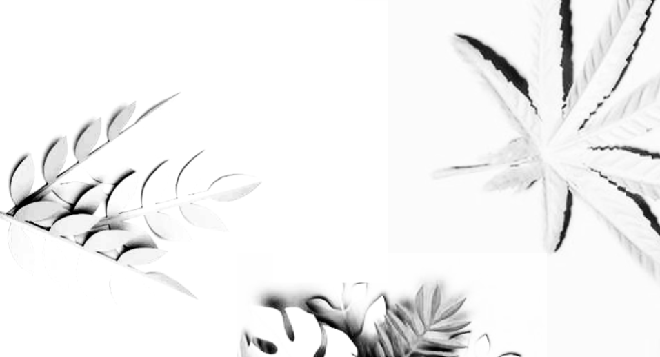 Copy of EXP (1).png