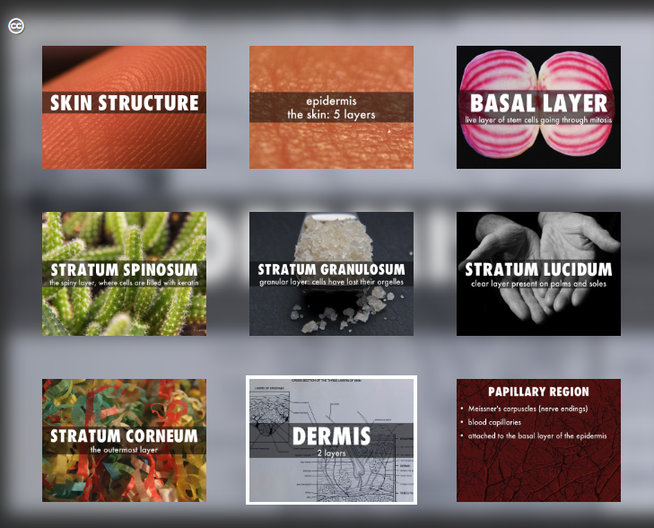 instructional design 2.PNG