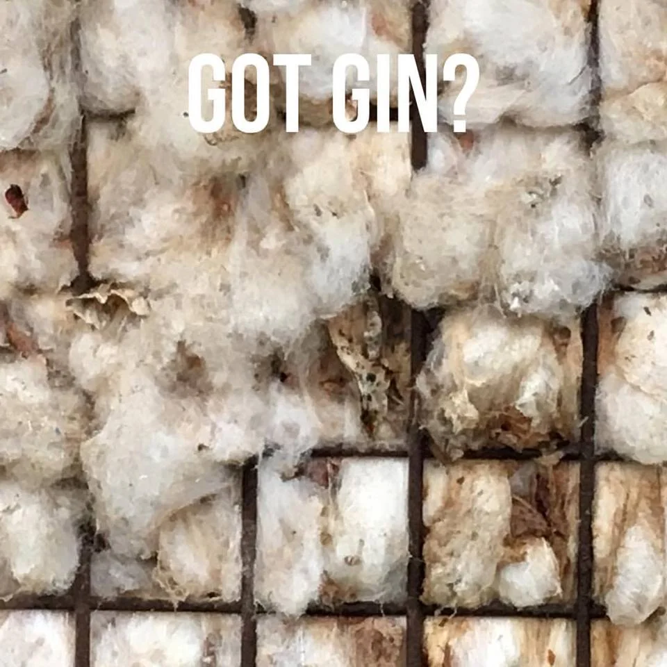 ecofashion Cotton Gin vreseis.jpg