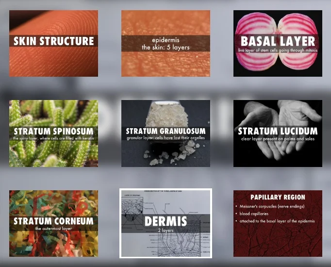 instructional design 2.PNG