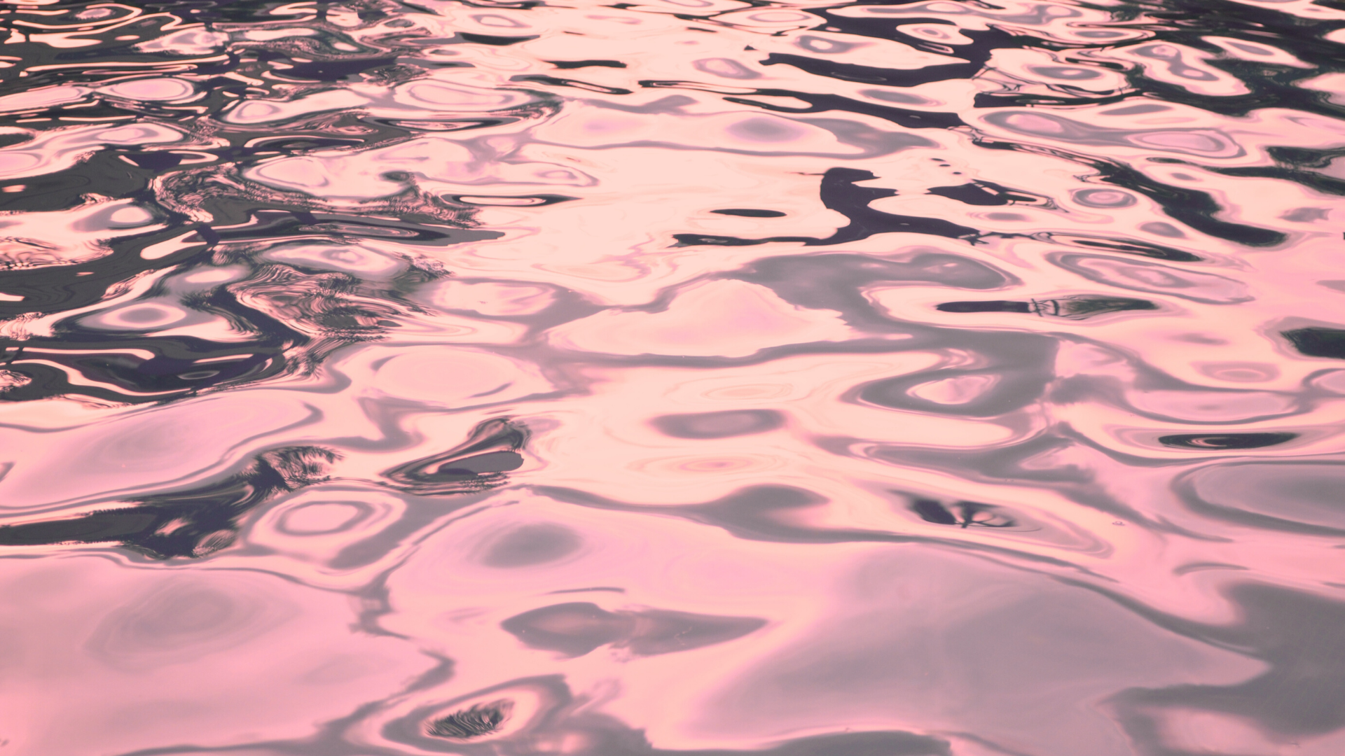 Copy of Untitled (31).png
