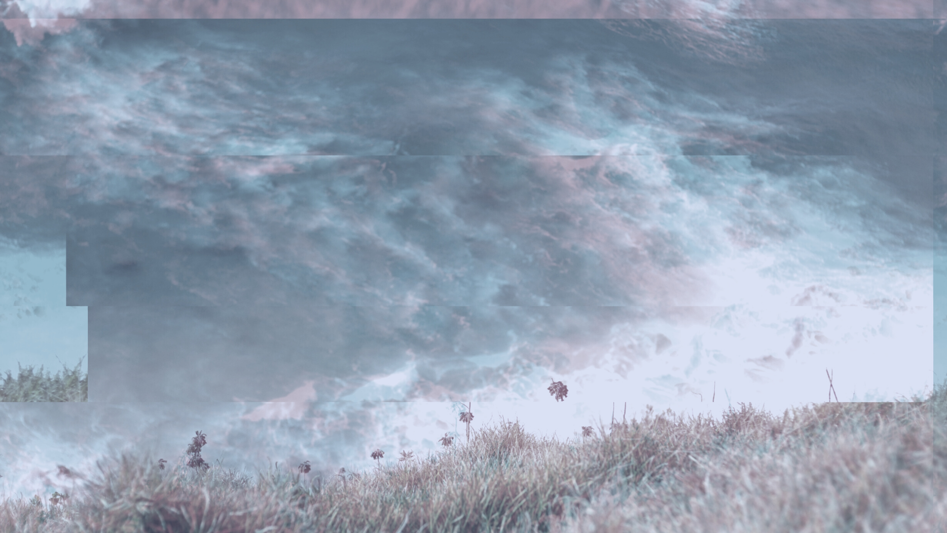 Copy of Untitled (20).png
