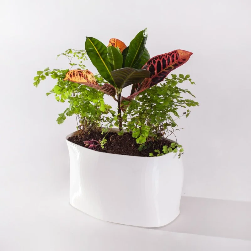 model-no-furniture-402planter-window-1-HERO-800x800.jpg