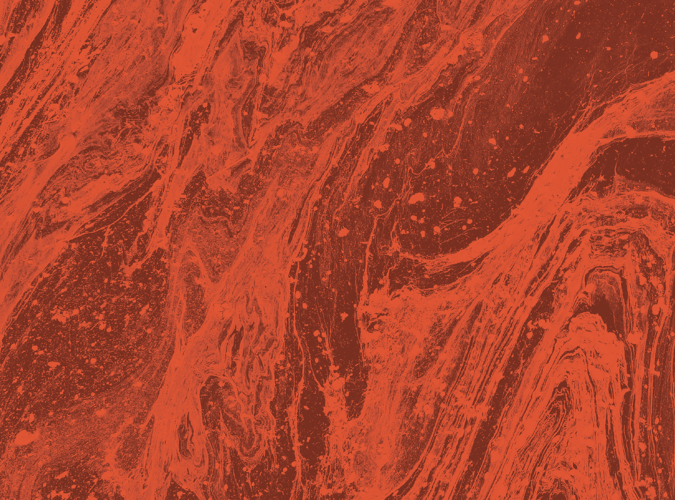 8 Binders for Mycotoxins