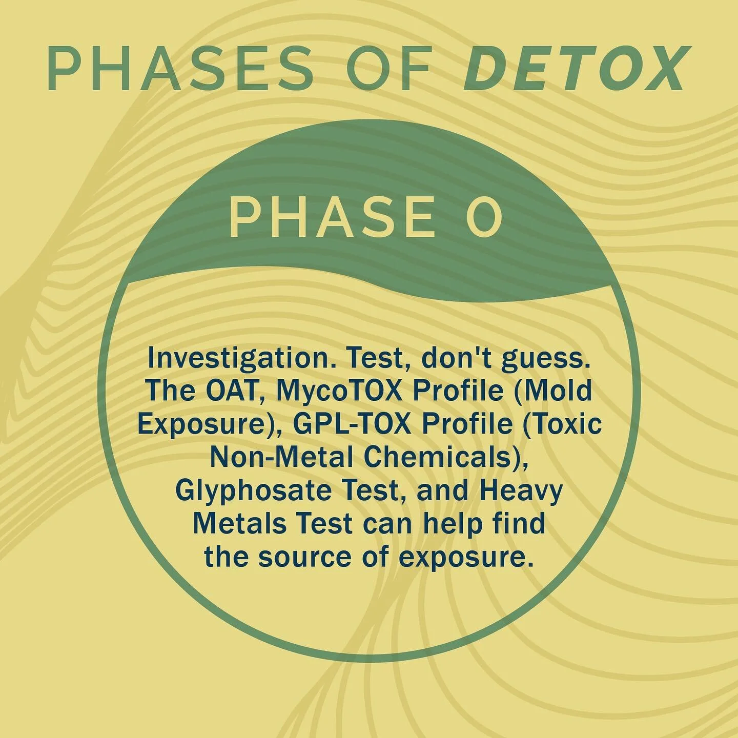 Learn how your body eliminates toxins through the phases of detox. Use the "BLOG" link in our bio ⠀
#greatplainslaboratory #organicacidstest #integrativemedicine #functionalmedicine #alternativemedicine #rootcause #chiropractic #nutrition #autism #naturopathicmedicine #holistichealth #wellness #healthcoach #mycotoxins #mold #moldexposure #diet #foodconsumption