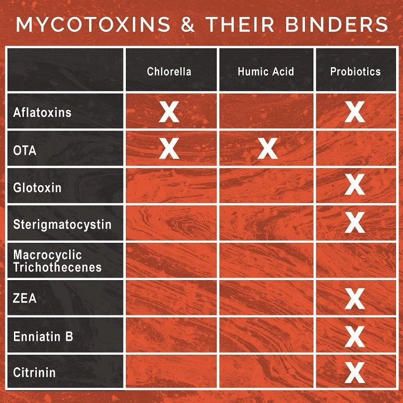 When working with mycotoxicosis, choosing the correct binder can present a challenge - do you know which binder you should use? https://loom.ly/k-fS4rk ⠀
🧪 #organicacidstest #integrativemedicine #functionalmedicine #alternativemedicine #rootcause #chiropractic #nutrition #autism #naturopathicmedicine #holistichealth #wellness #healthcoach #mycotoxins #mold #moldexposure #diet #foodconsumption