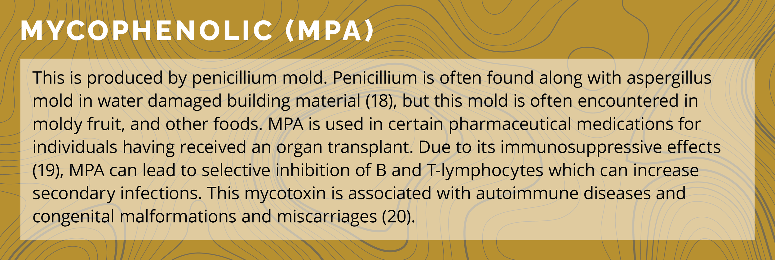GPL_Blog_MoldExposure_Woeller_0921_Graphics_Main_2.png