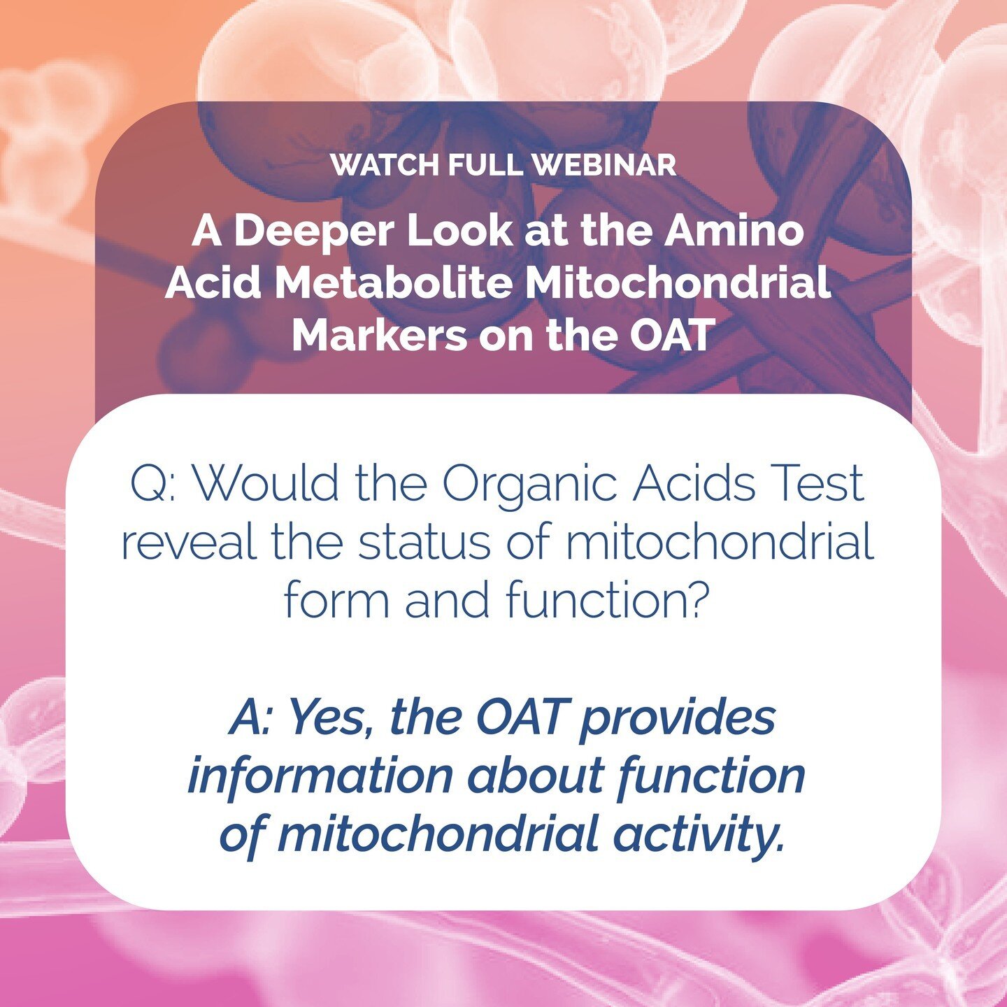 The mitochondria produce large amounts of ATP through its metabolism of fats and amino acids. However, only certain amino acids get metabolized for precursor molecules used in the mitochondrial for Krebs Cycle activity and eventual electron transport