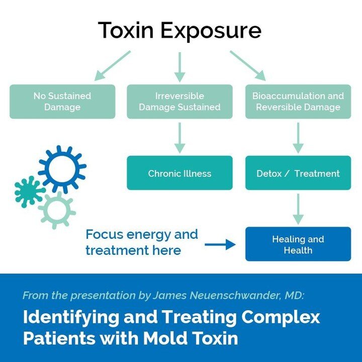 Disease develops when the cellular healing process gets stuck; this can occur when #mold and #mycotoxin exposure is ongoing. Learn more in this full presentation from James Neuenschwander, M.D. with the link in our bio ➡️ https://loom.ly/mRQvcDE #wat