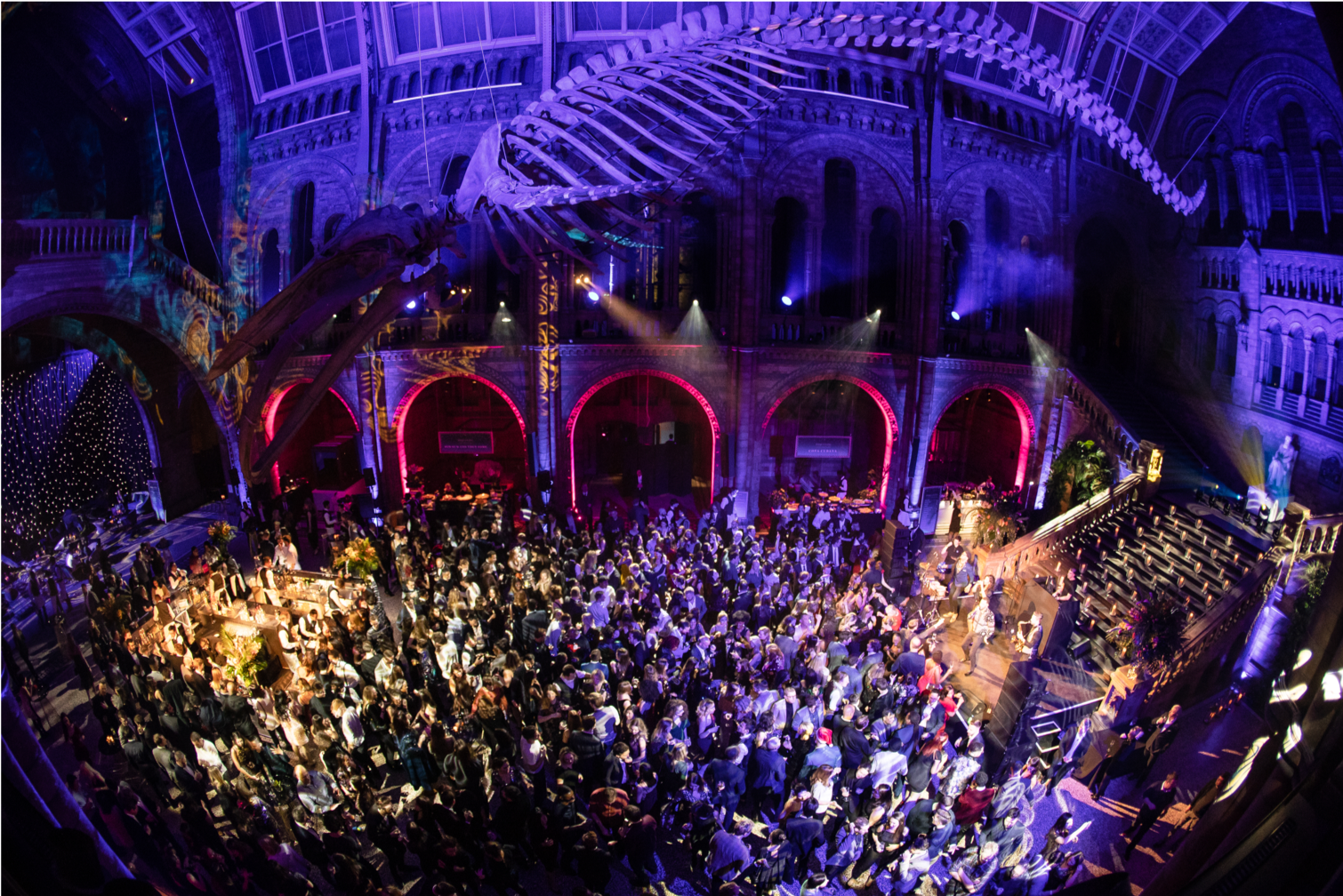 NBCUNIVERSAL XMAS PARTY | THE NATURAL HISTORY MUSEUM | 2018