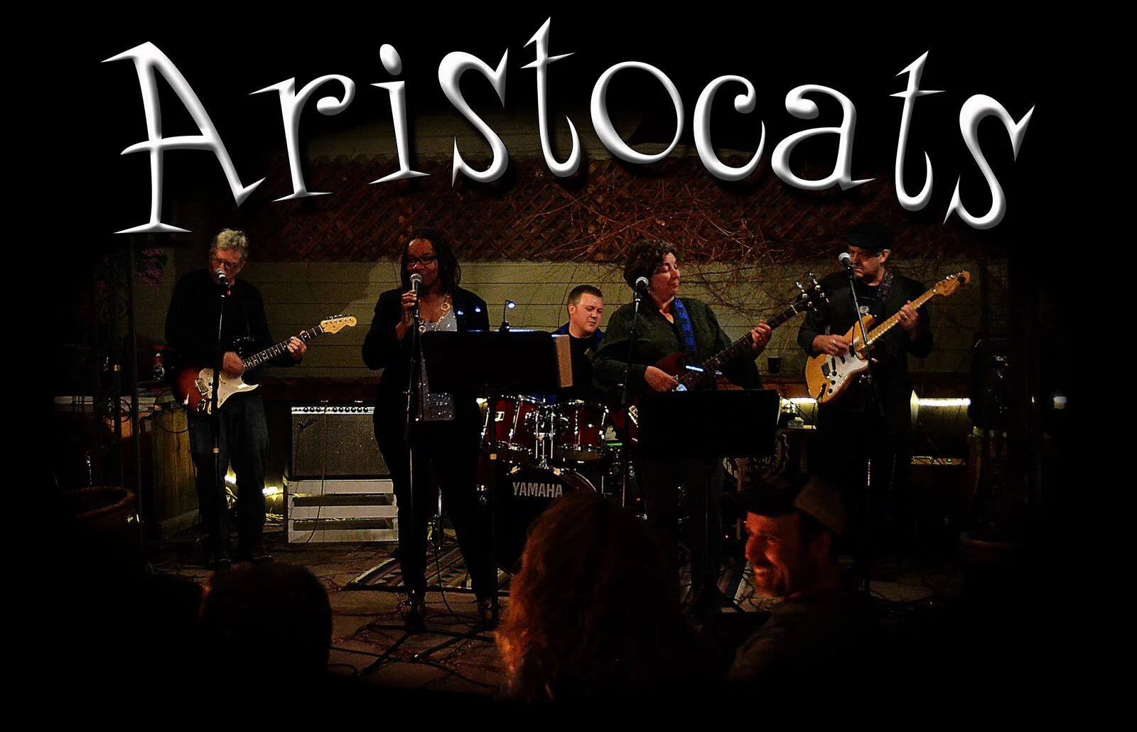 Aristocats Band Dance Party!