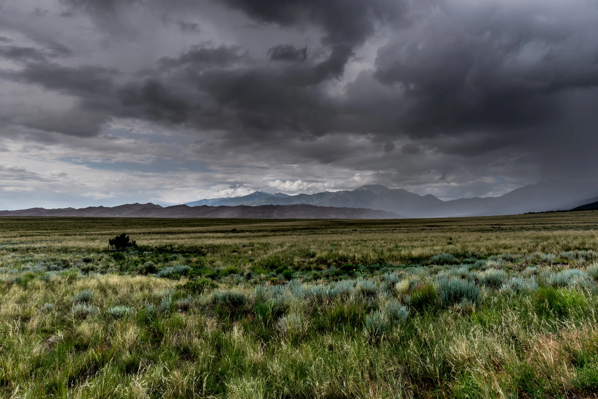 Colorado Writing School Annual Reading
