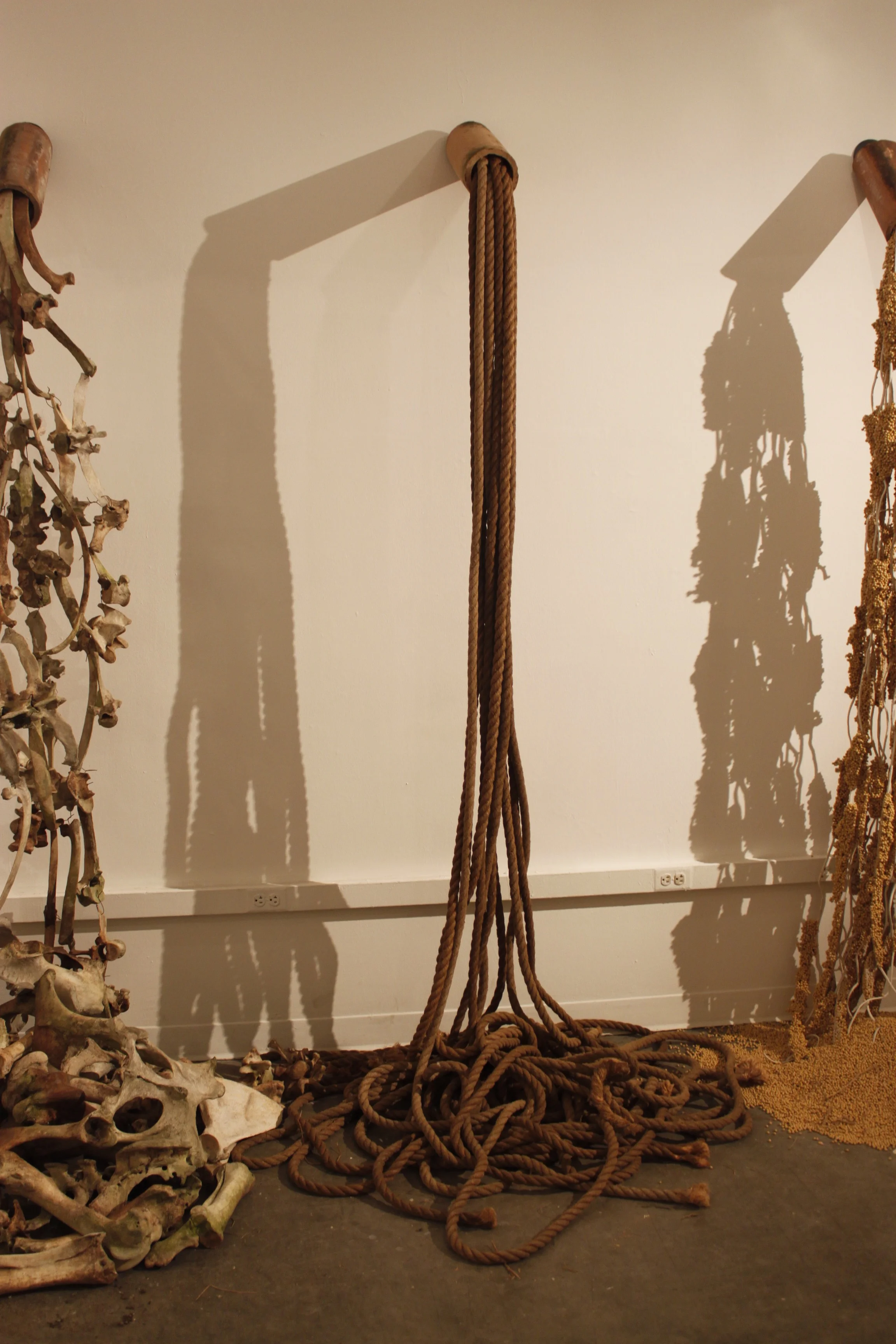 rope2.jpg