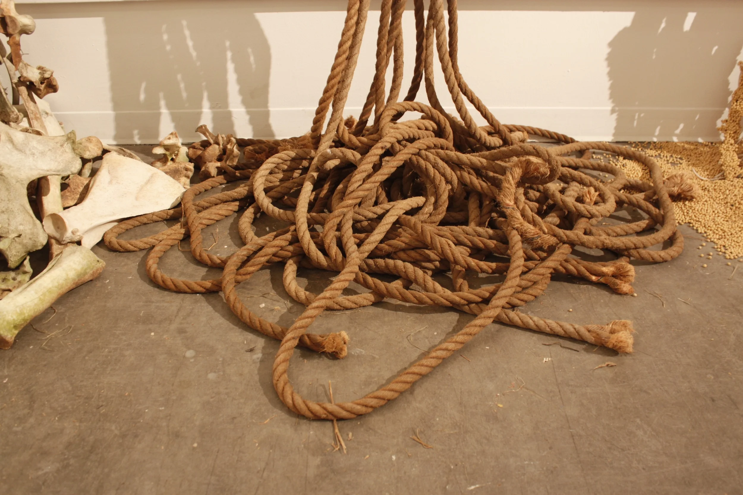 rope3.jpg