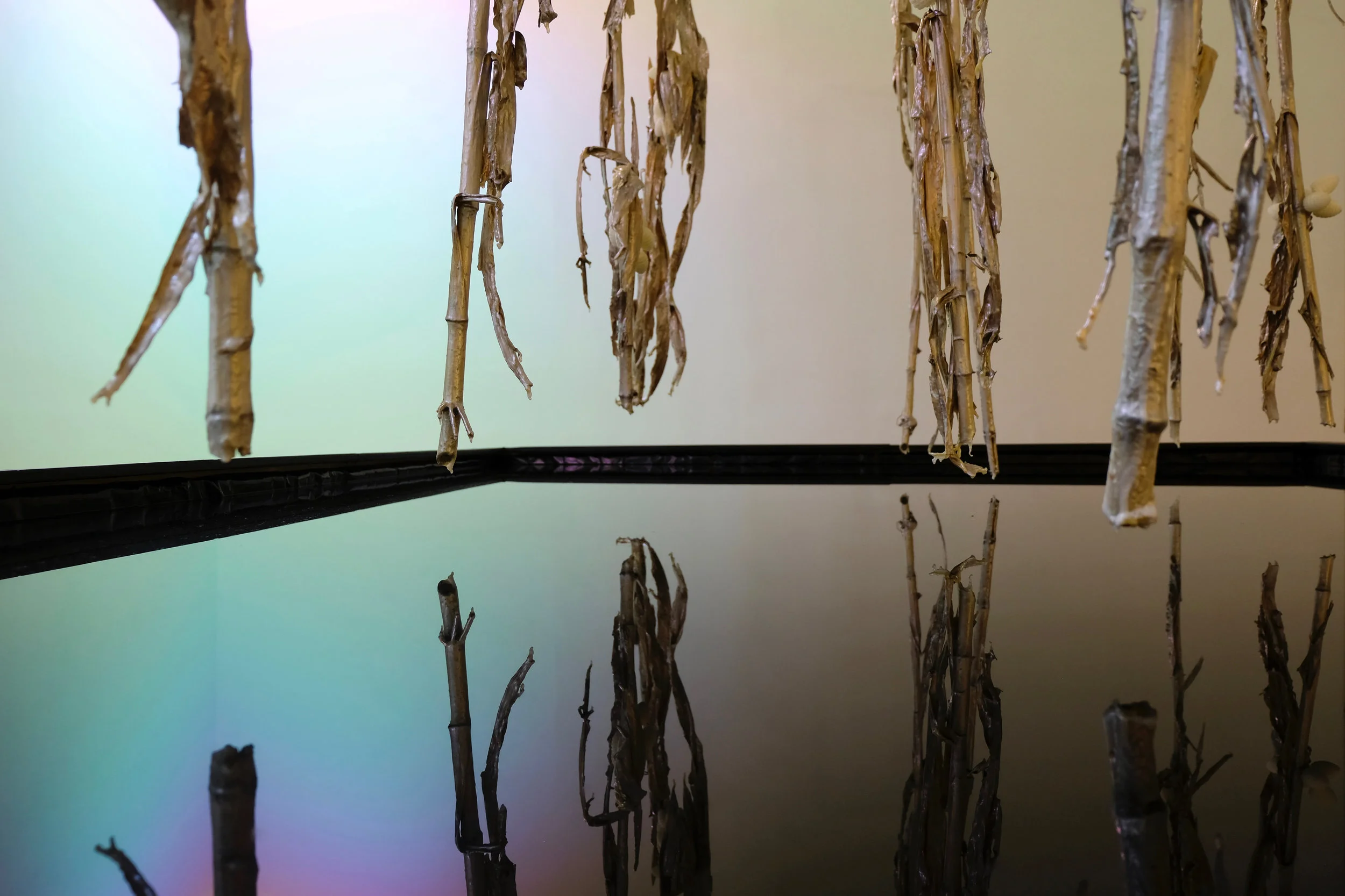 detail4.tyedit.jpg