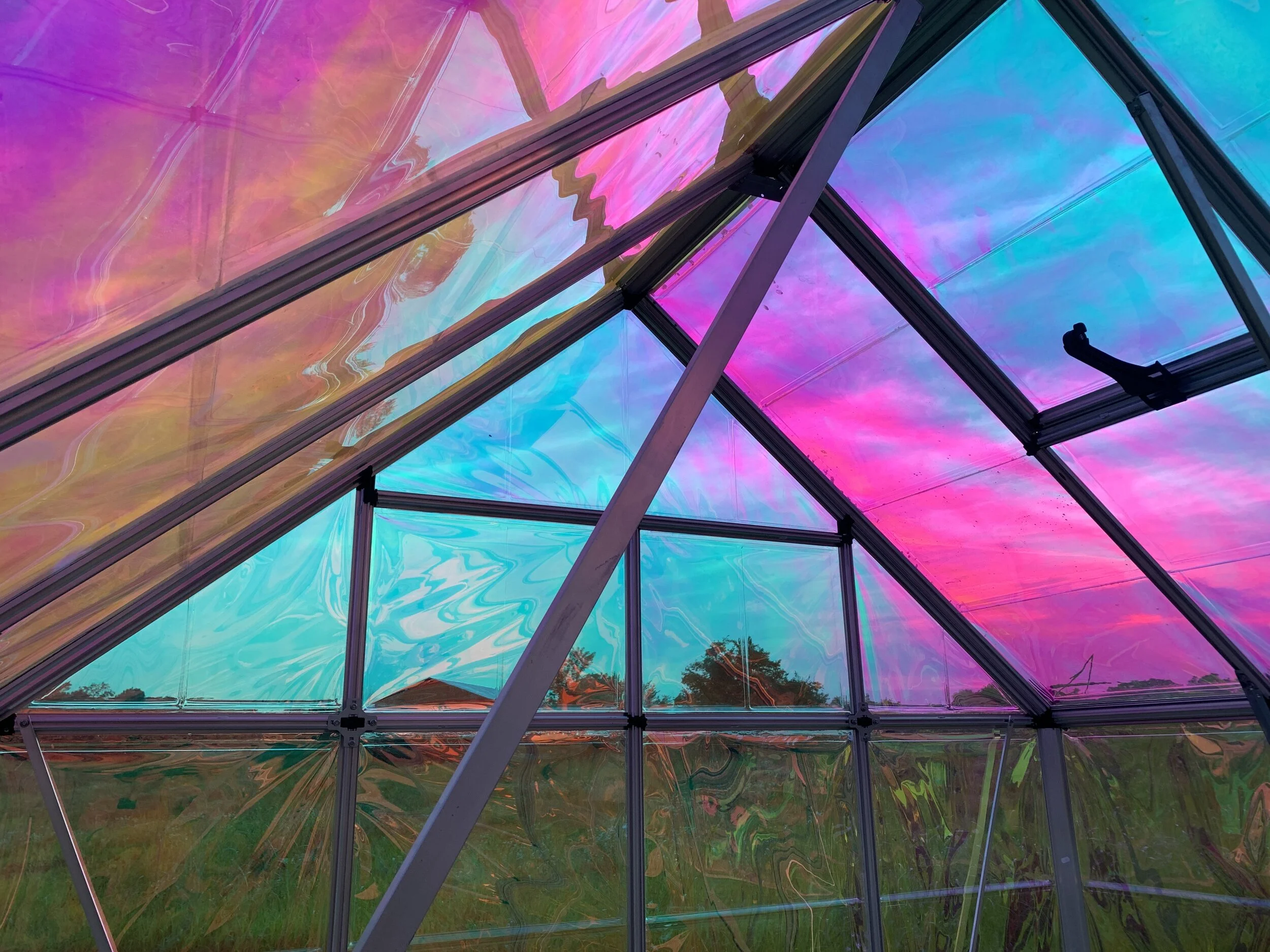 Greenhouse 8.JPG