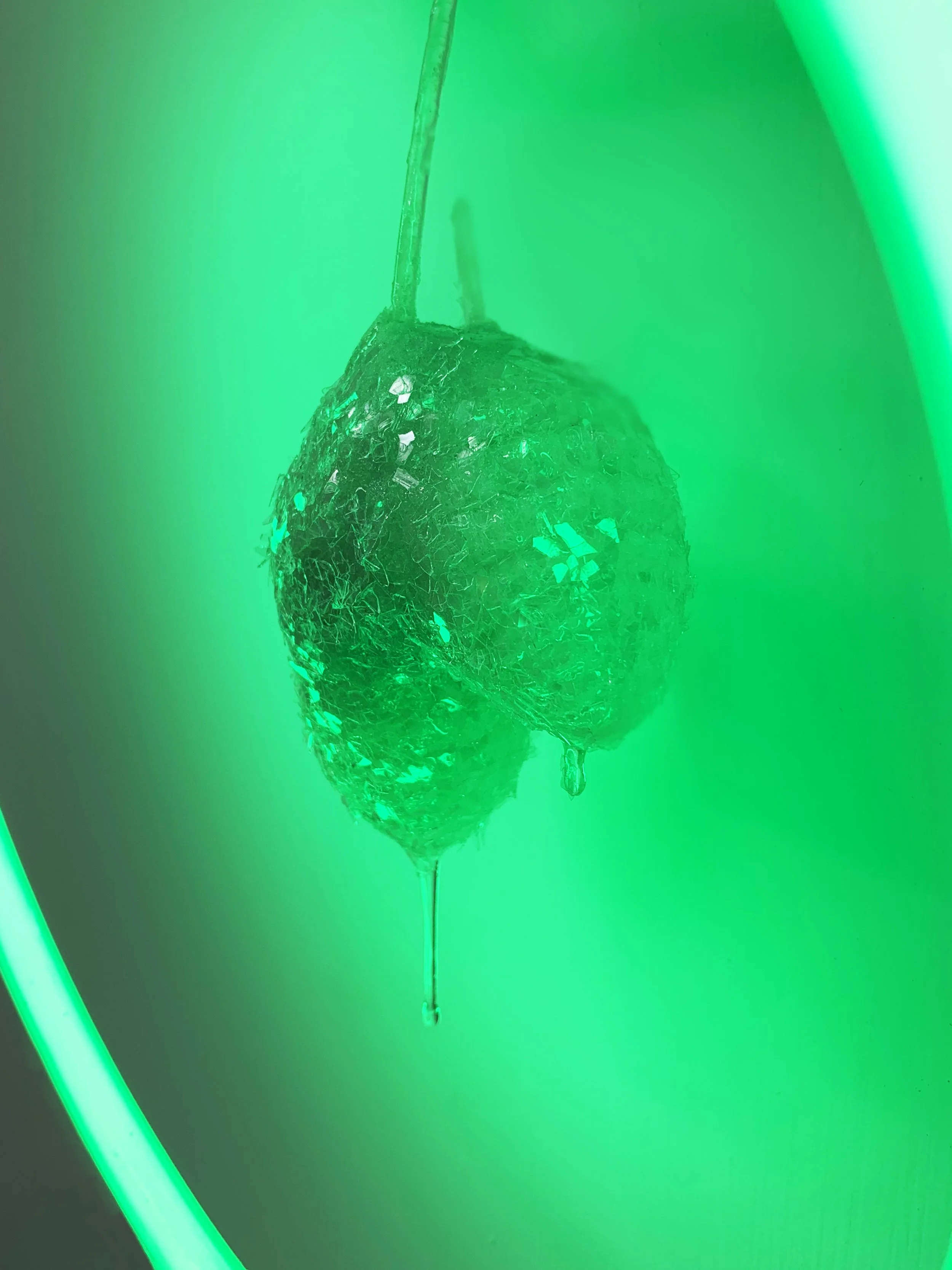 neon cob detail.jpg