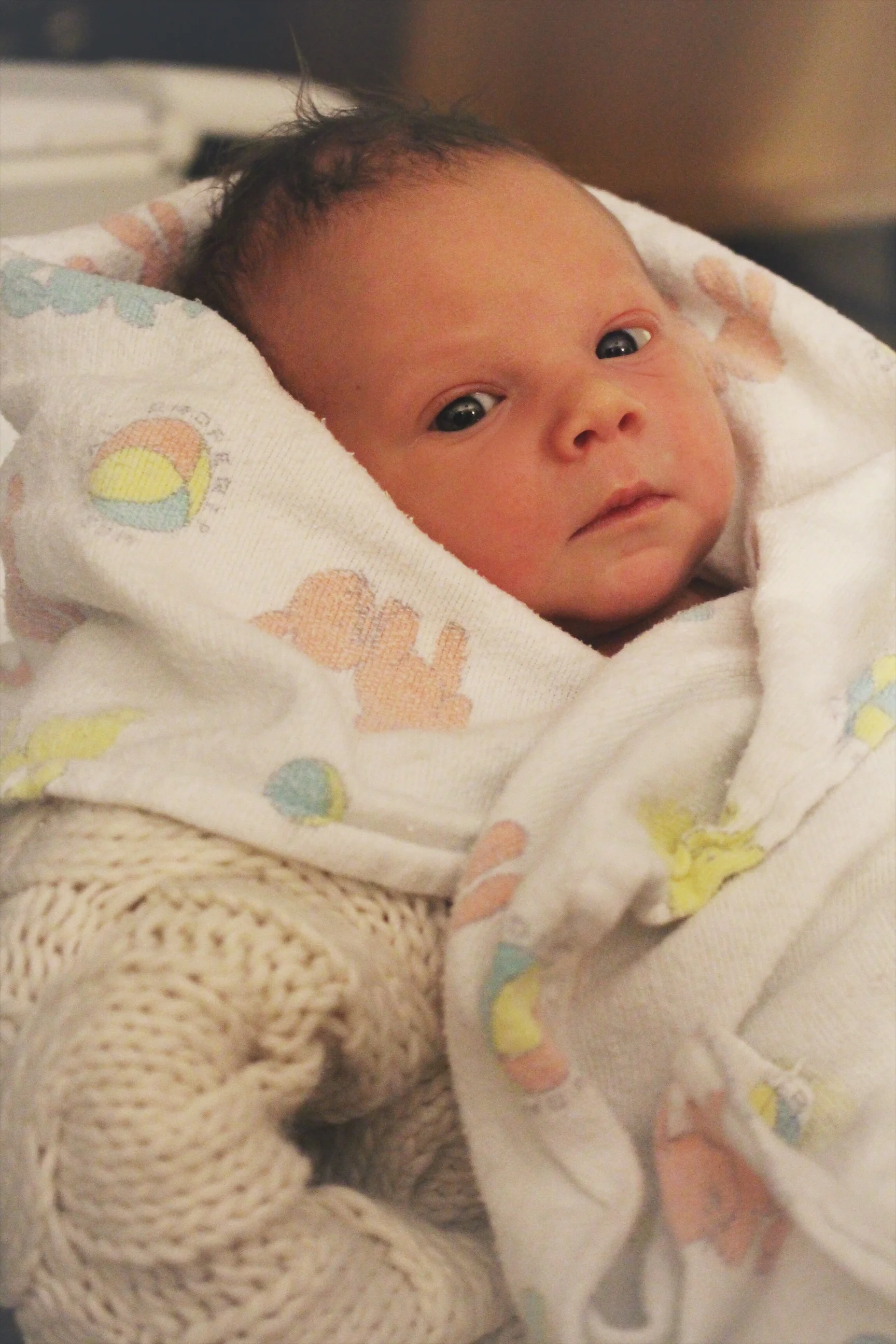 Our precious Emmett Rhodes Grimm