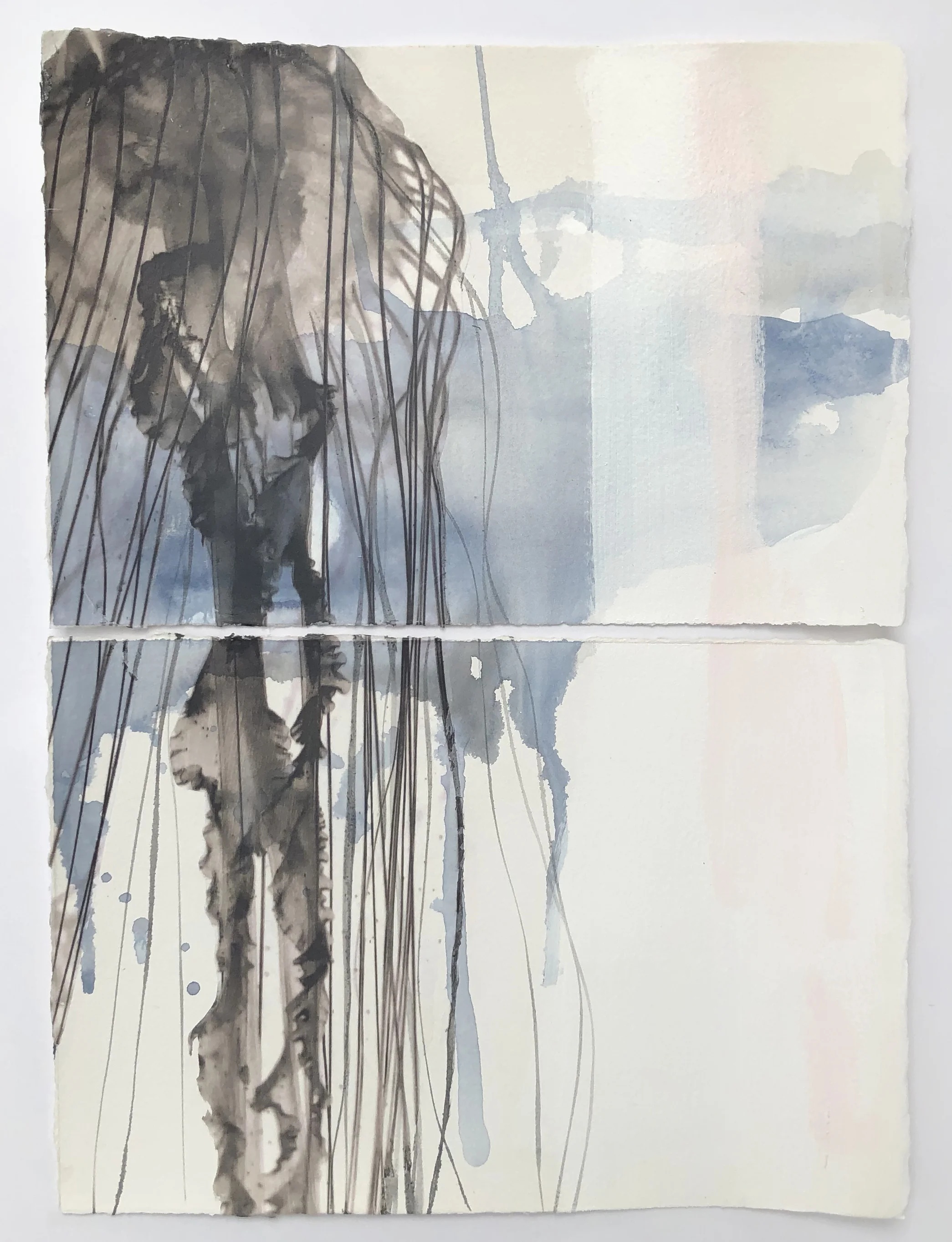 Rebekah Webb-Jellyfish-Uplift.jpg