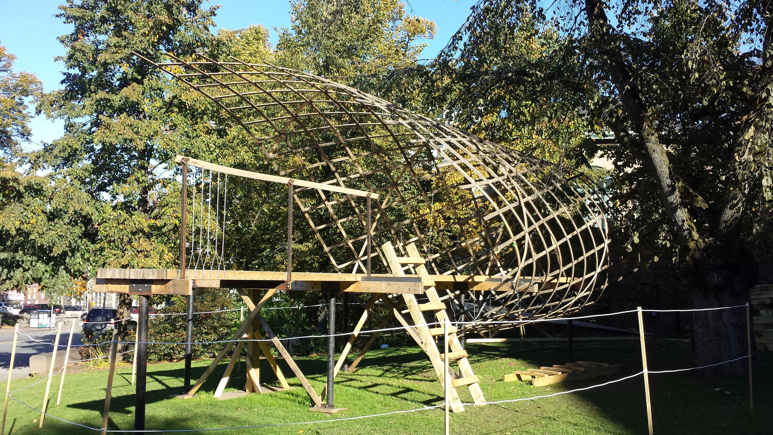 Treehouse.jpg