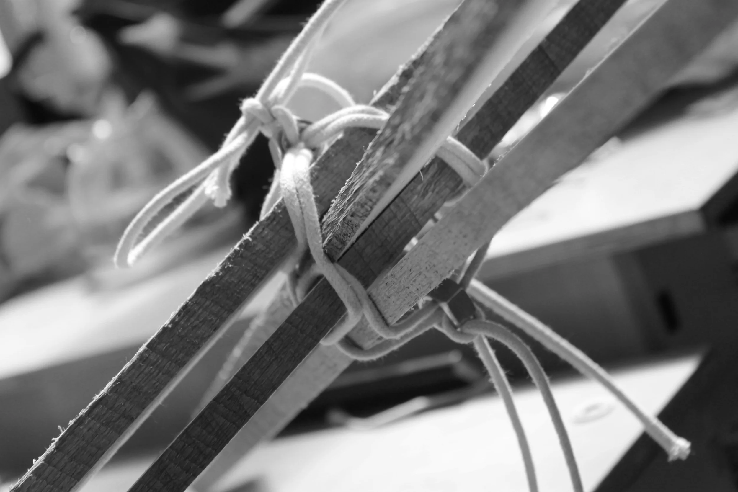 Copy of IMG_6056.JPG