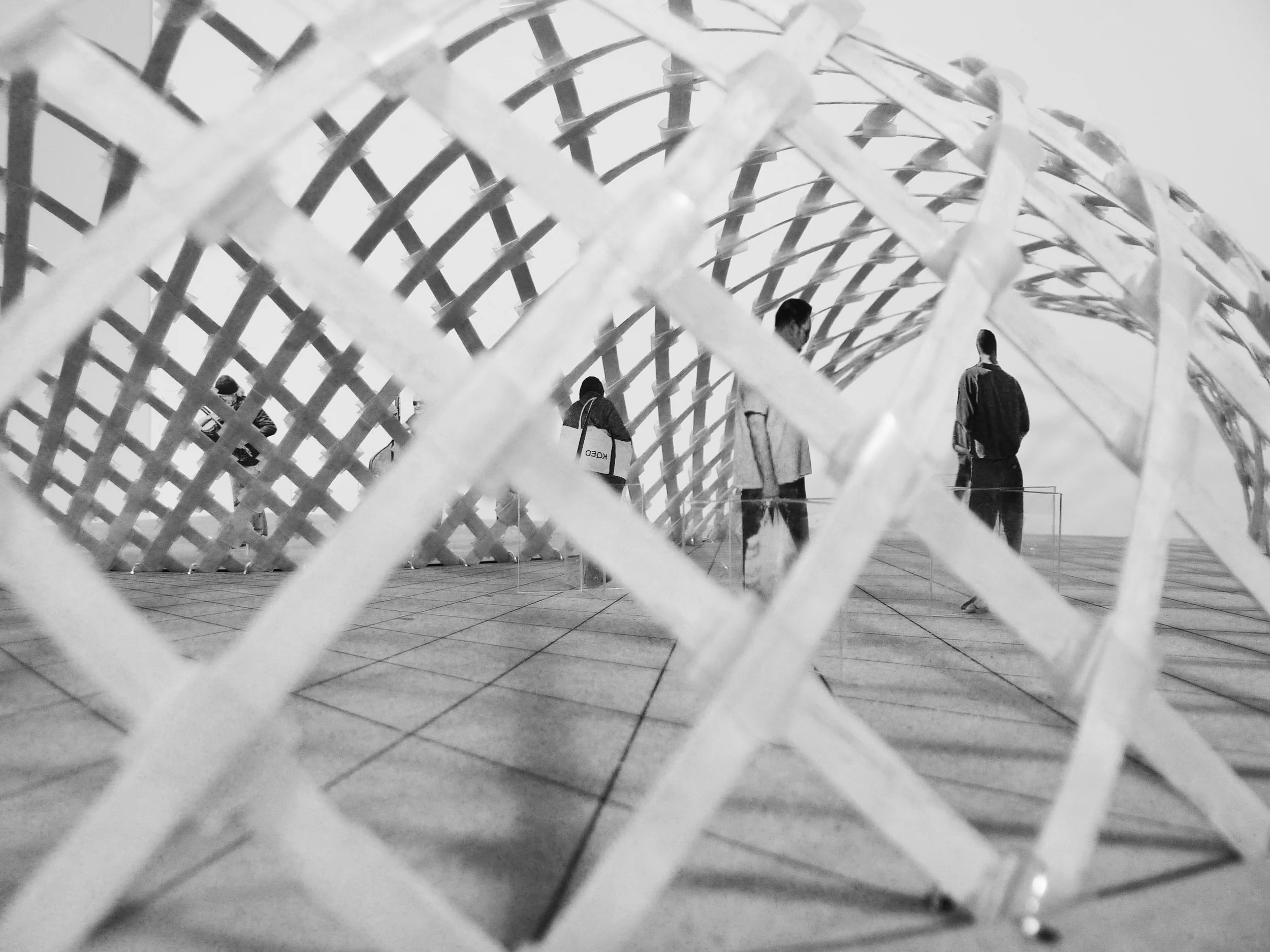 Copy of P1030403.JPG