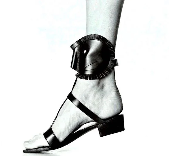 vivier mask shoe.jpg