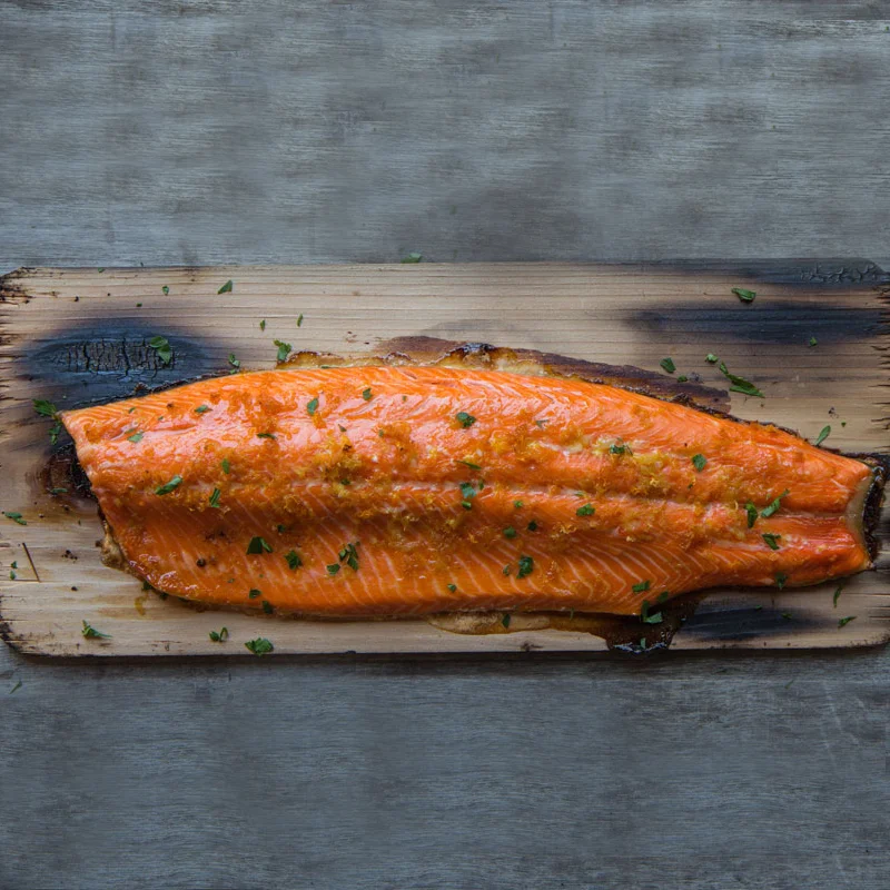 salmon.jpg