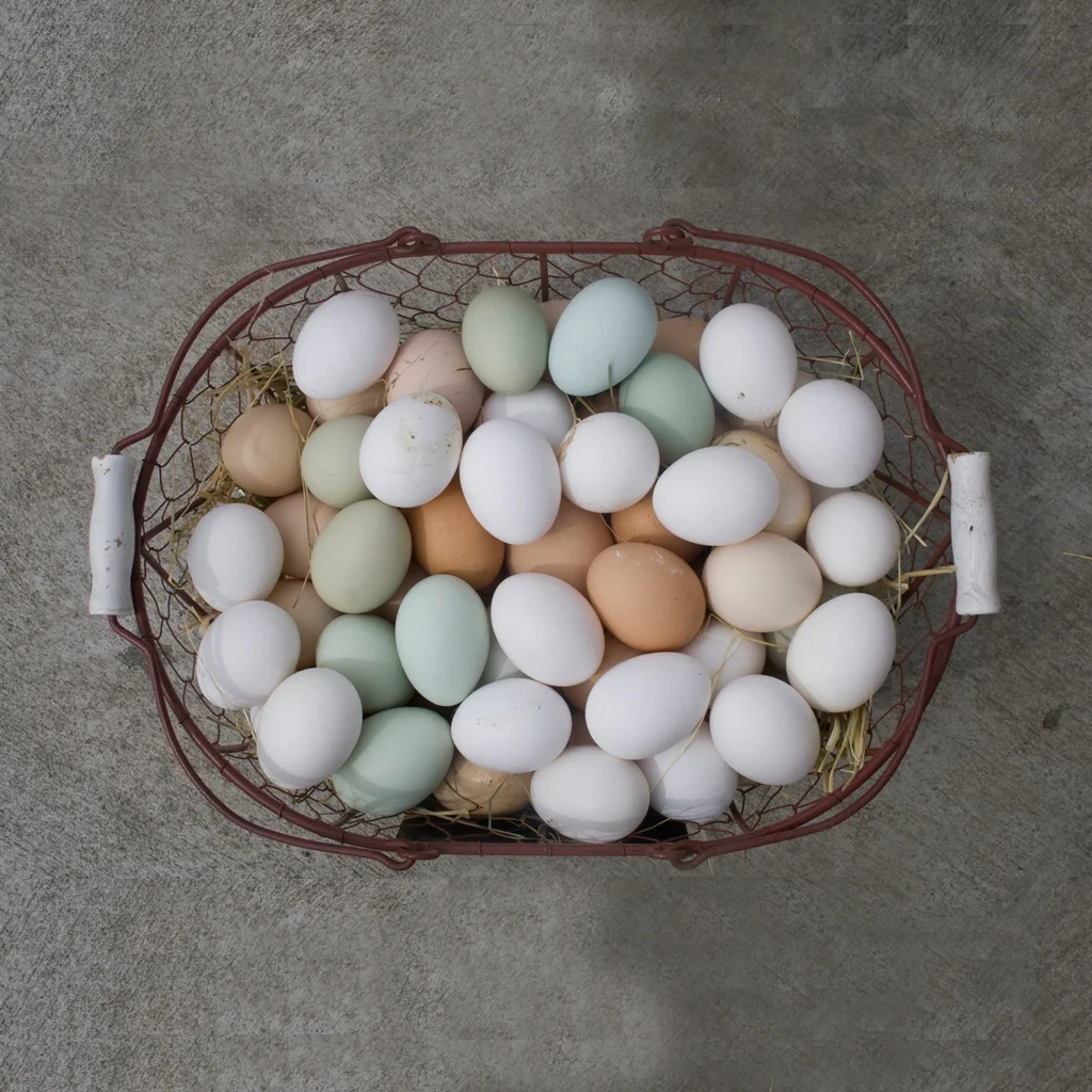 LOCAL FARM EGGS