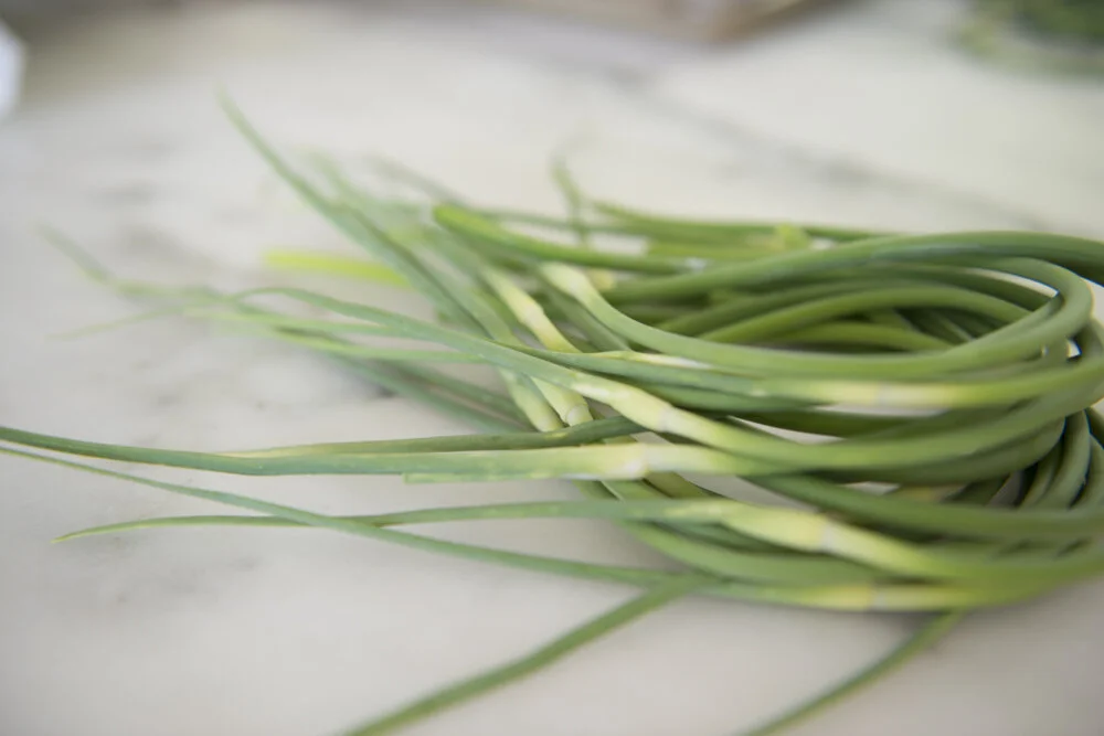 scapes.jpg