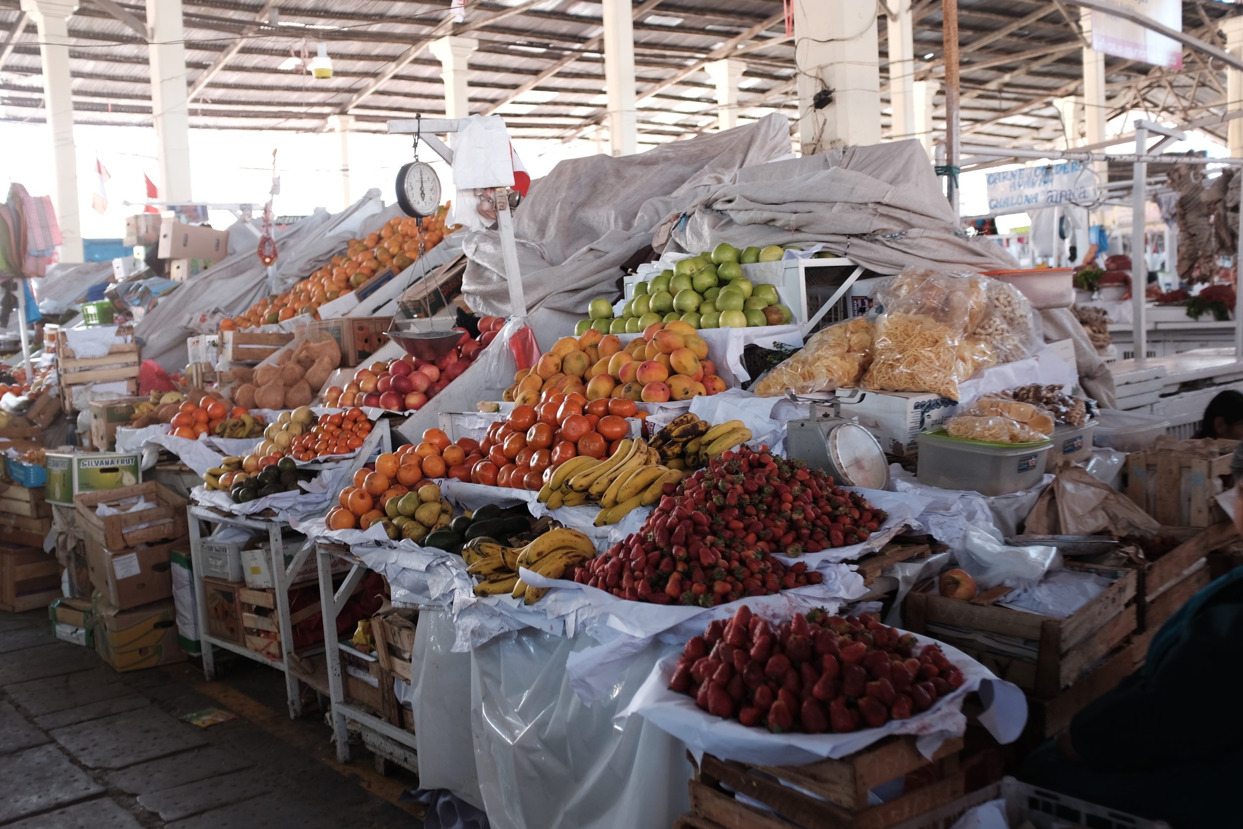 DSCF1224.JPG