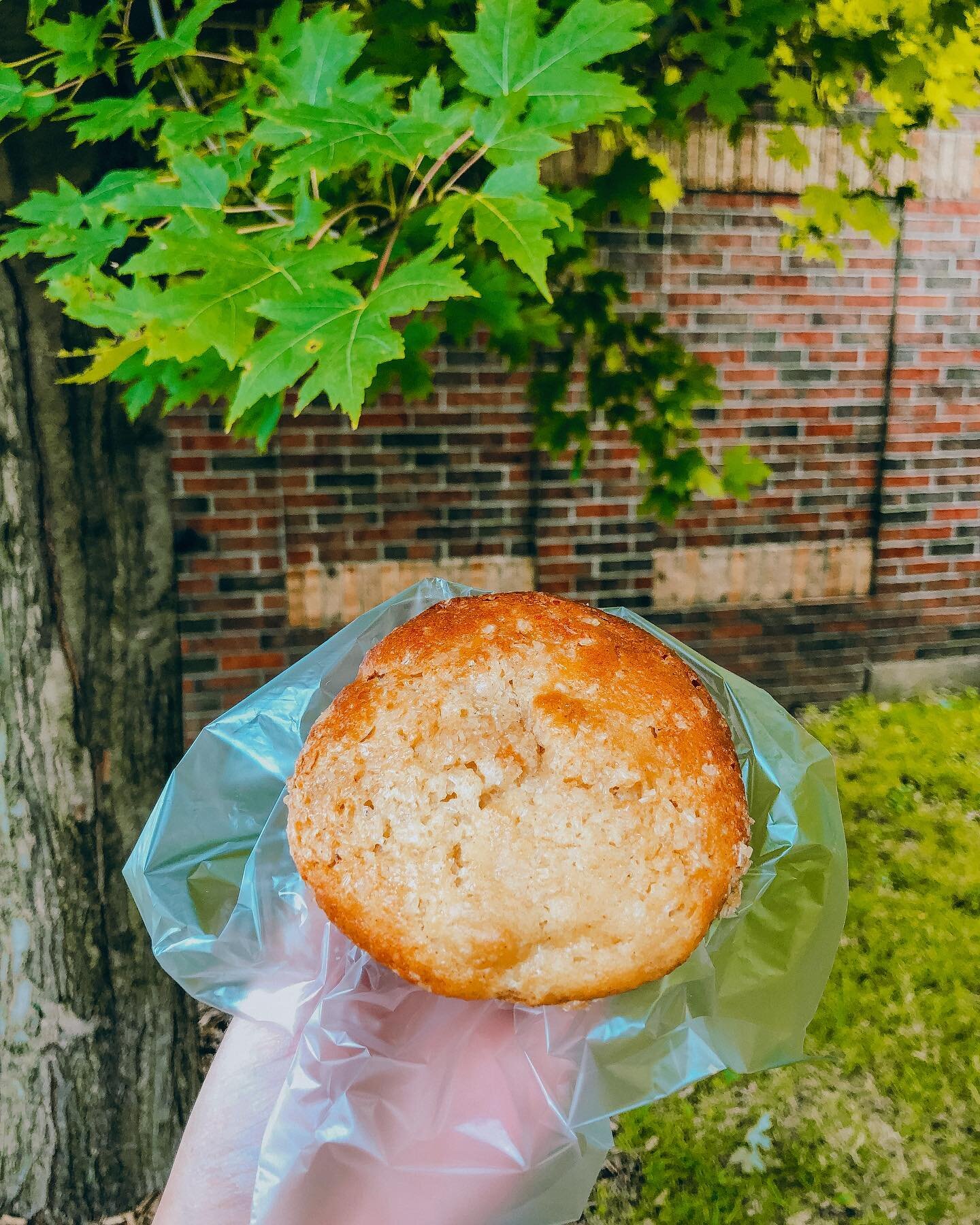 New muffin!
Apple and ginger 🍎🍏

The perfect combination for the fall weather

@ancaster_village