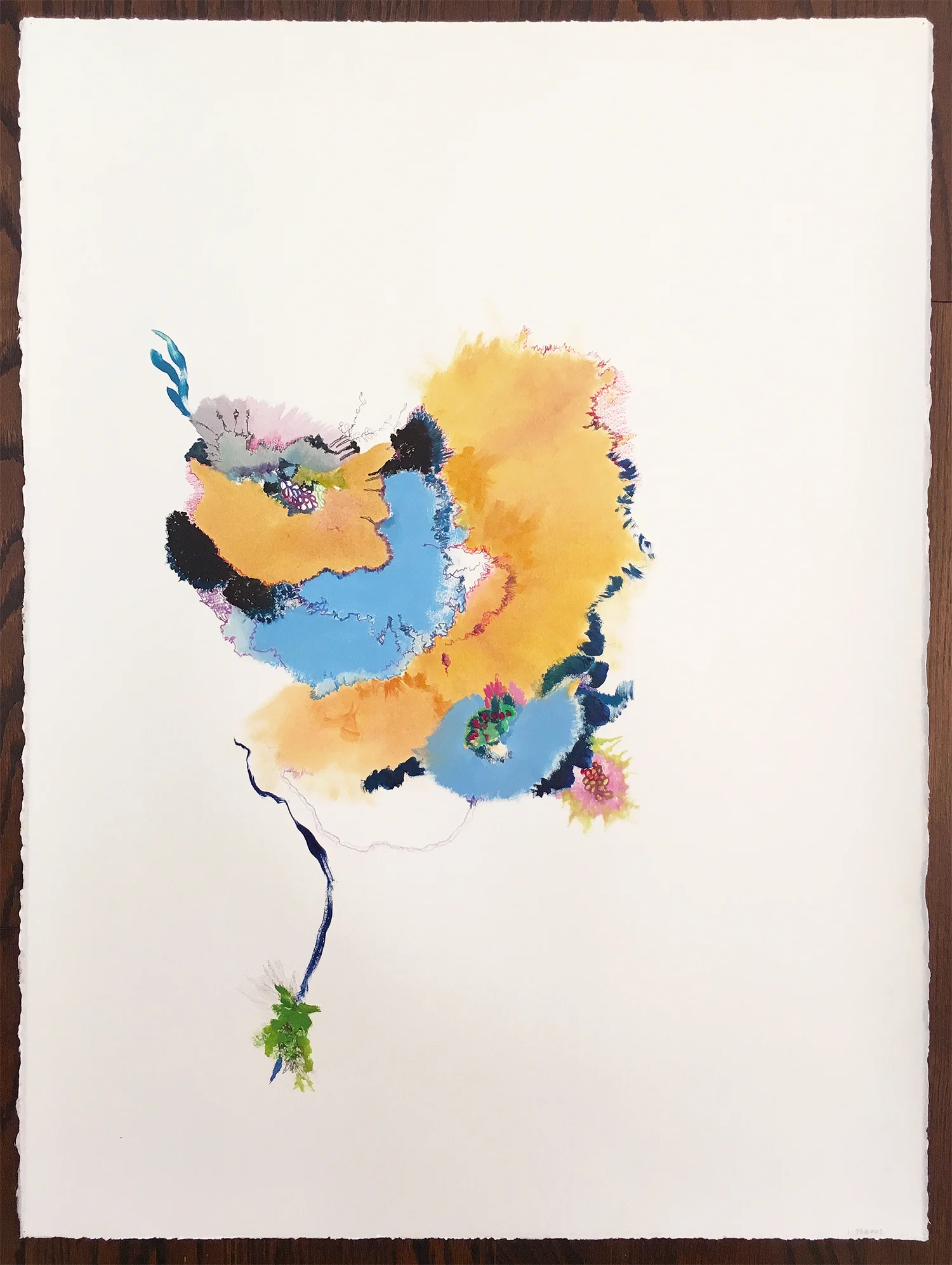 mushroom frills - sold