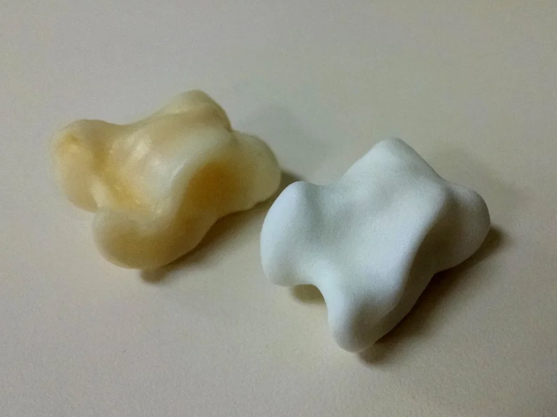  Real bone master (left) and printed copy (right) 