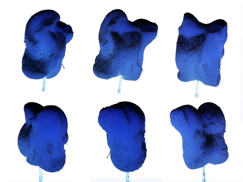  Real sheep knucklebones were scanned using 123D catch. Photographing against a black background then inverting the photos prior to processing improved capture quality. 