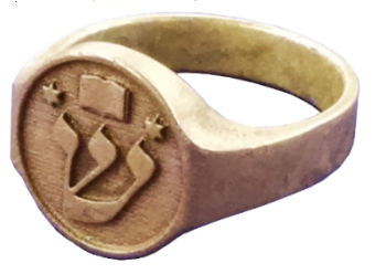  First prototype printed in bronze via Shapeways.com 