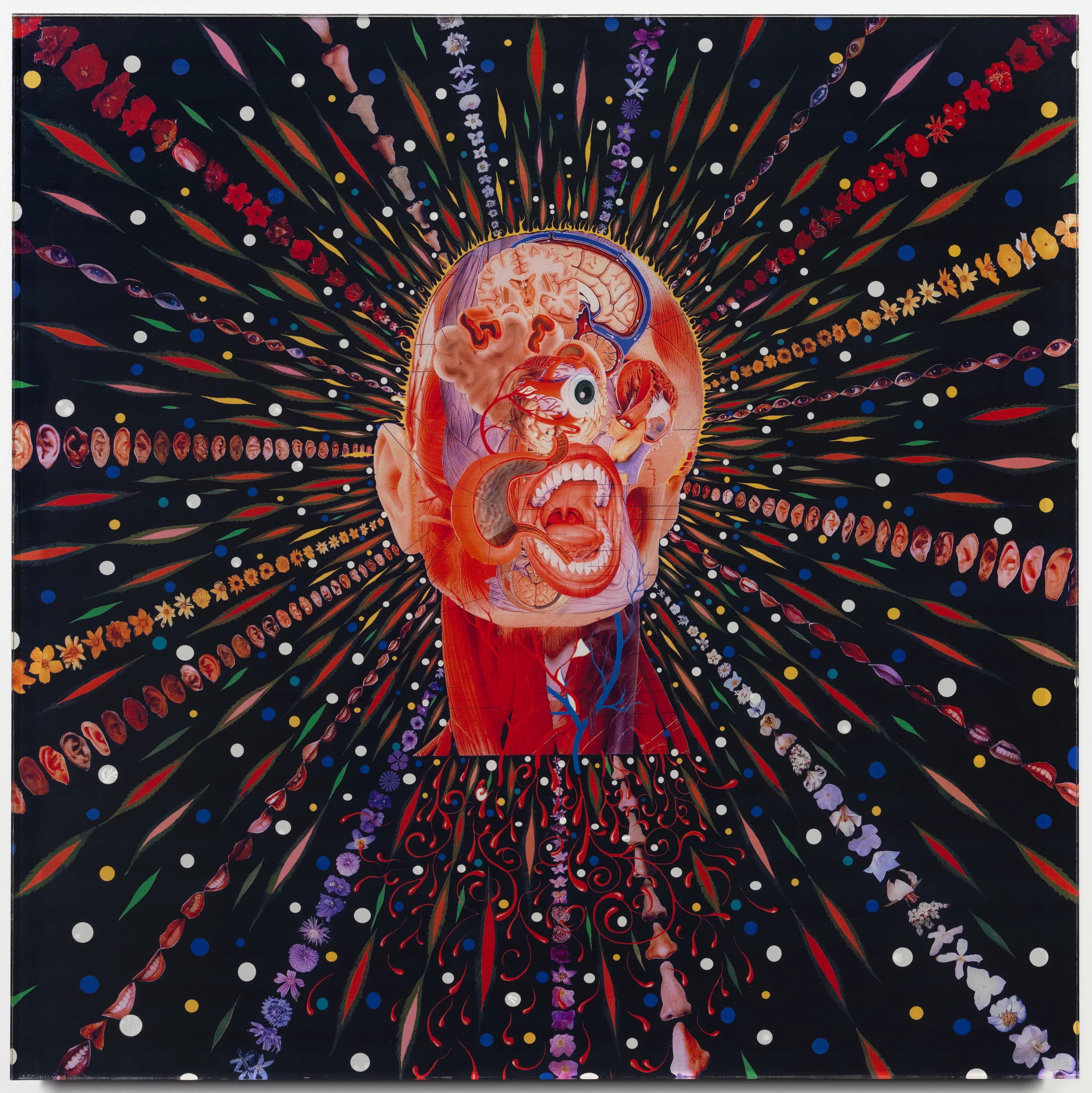 Fred Tomaselli