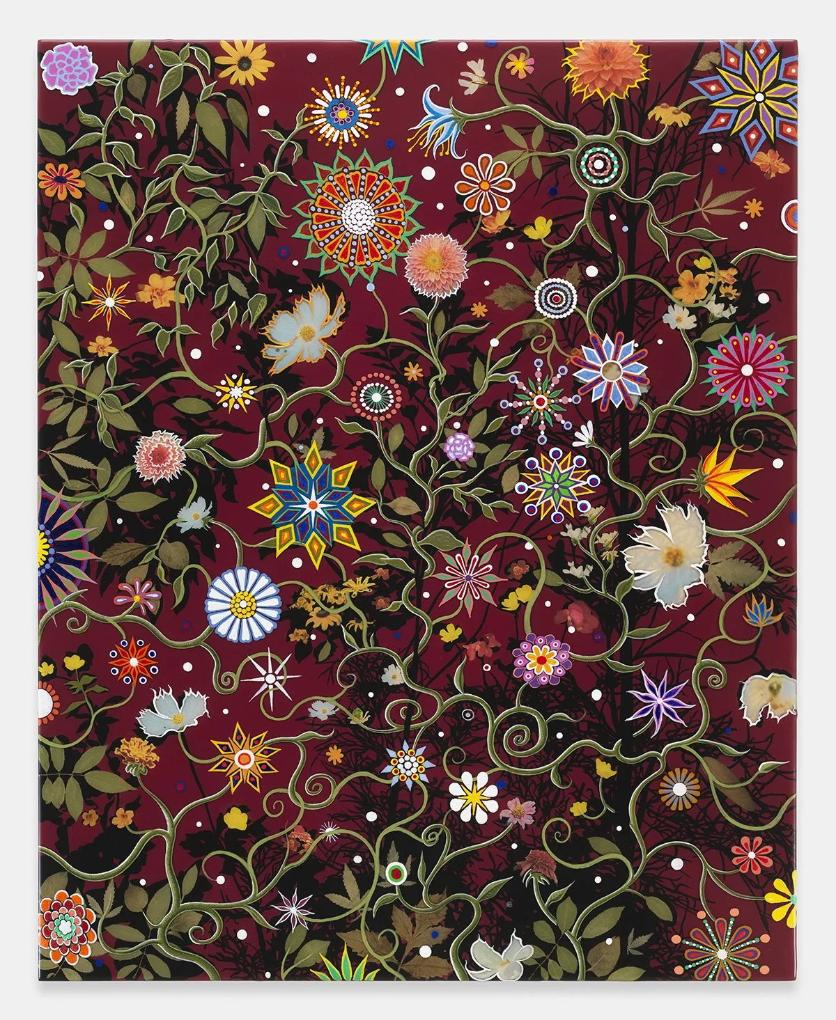Fred Tomaselli