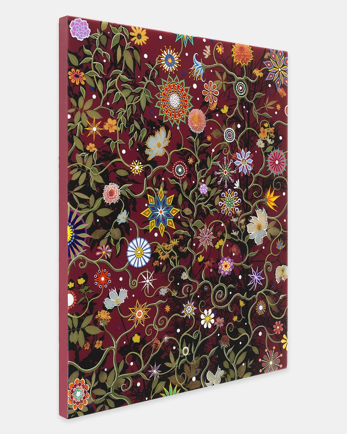 Fred Tomaselli