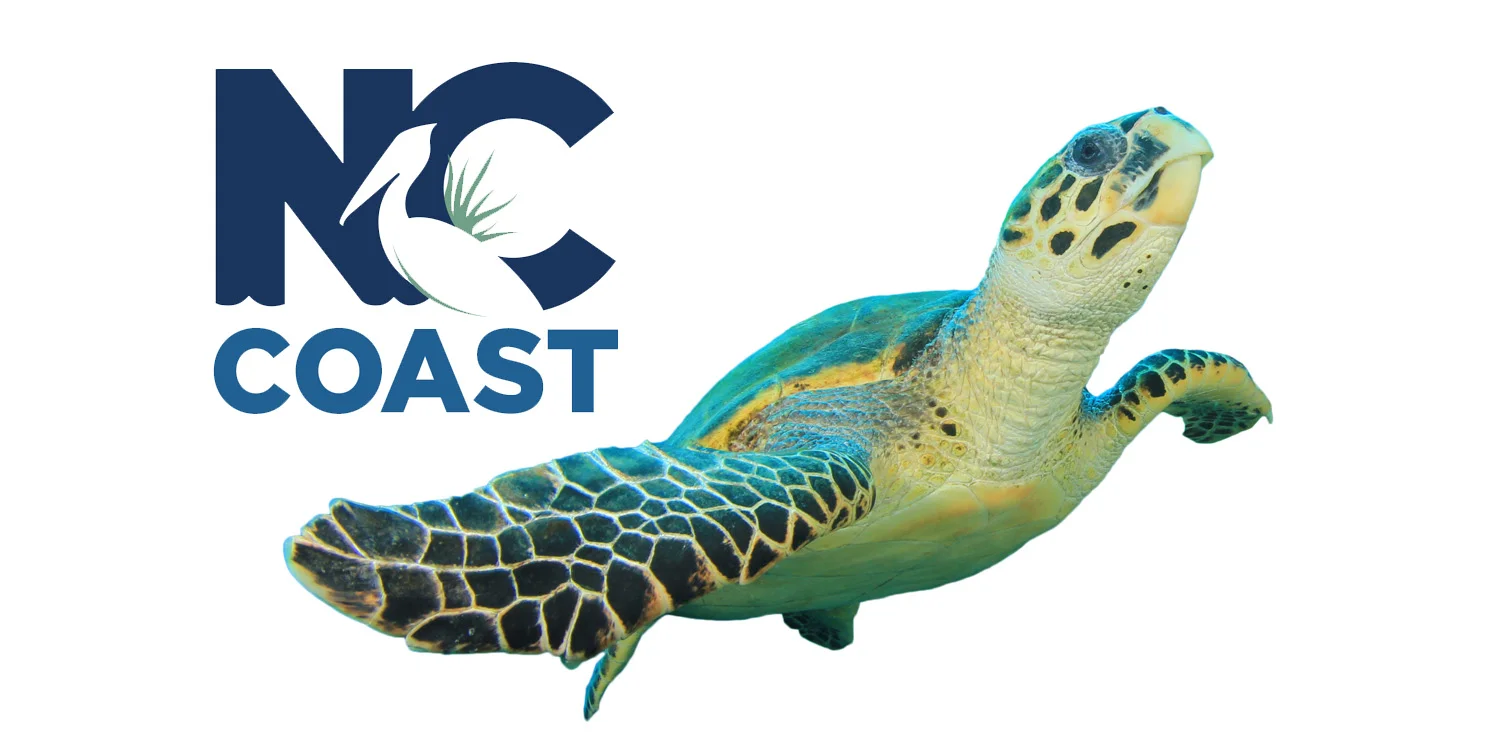 "We wanted to engage more people in our “Protect the Coast” efforts and promote the NC Coastal Federation license plates. Ned recommended we tap what people REALLY love about the coast. It worked!”                  - Catherine Snead, Business Engage