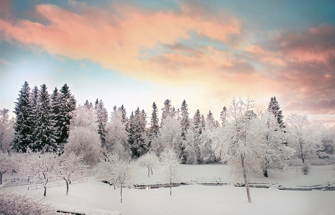 Wedding Shower for Candace Hendon & Dale LeMay