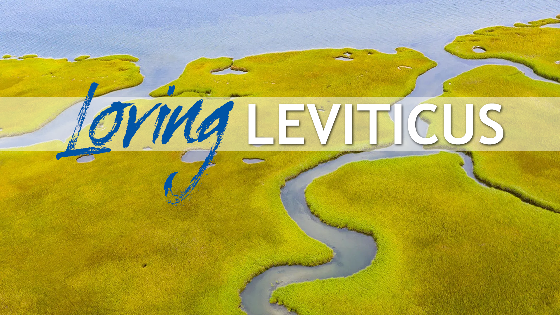 Loving Leviticus Title.png