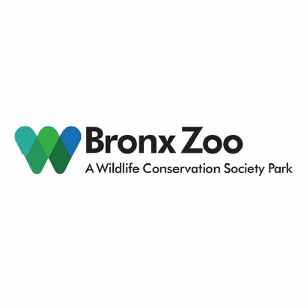 Bronx-Zoo-tv-spot-childrens-grooming.jpg