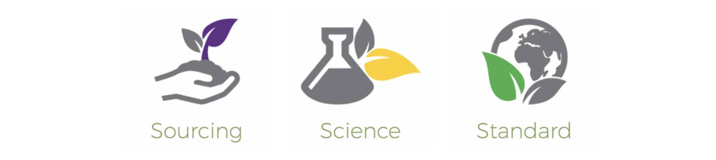 Screen Shot 2020-07-05 at 9.35.14 AM.png