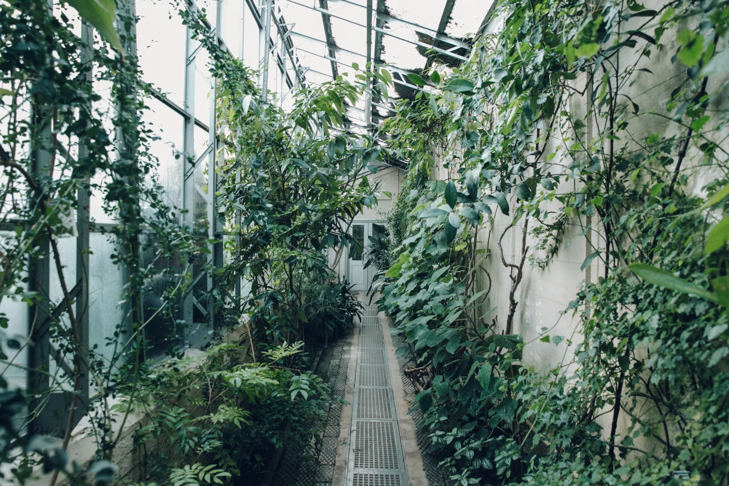 Oxford Botanic Garden — Haarkon