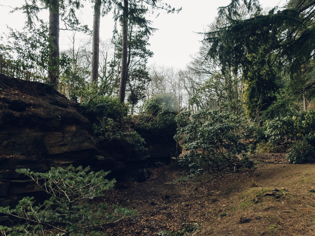 Whinfell Quarry Gardens Sheffield Haarkon Adventures