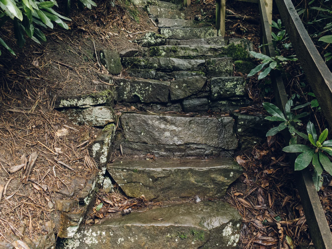 Whinfell Quarry Gardens Sheffield Haarkon Adventures