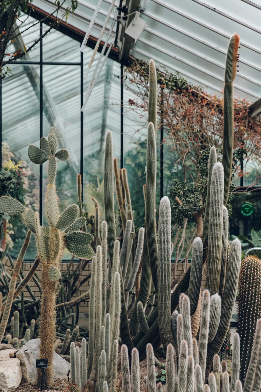 The Princess of Wales Conservatory (Kew Gardens) — London — Haarkon